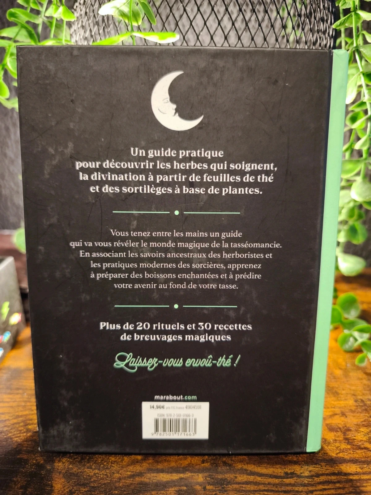 El destino en una taza de té – photo 2